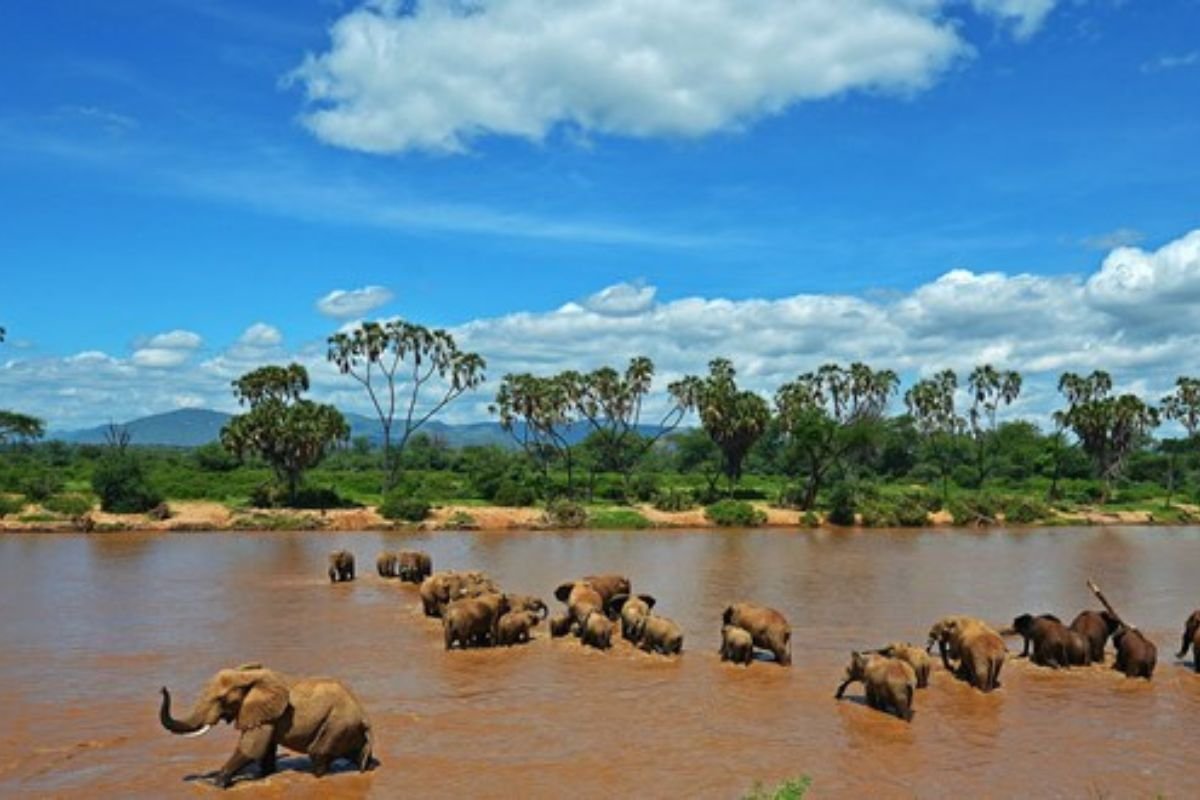 Hisbania to Serengeti